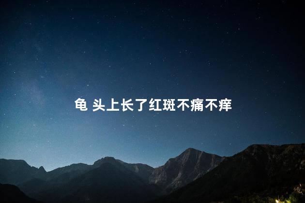 龟 头上长了红斑不痛不痒